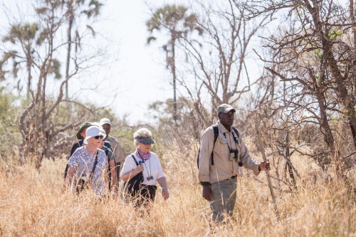 Moremi Crossing omgeving wandelen